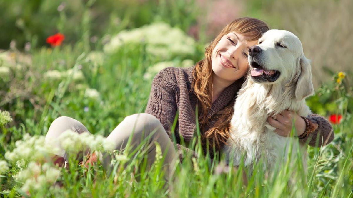 Urban Green Spaces Boost Dog Health and Happiness