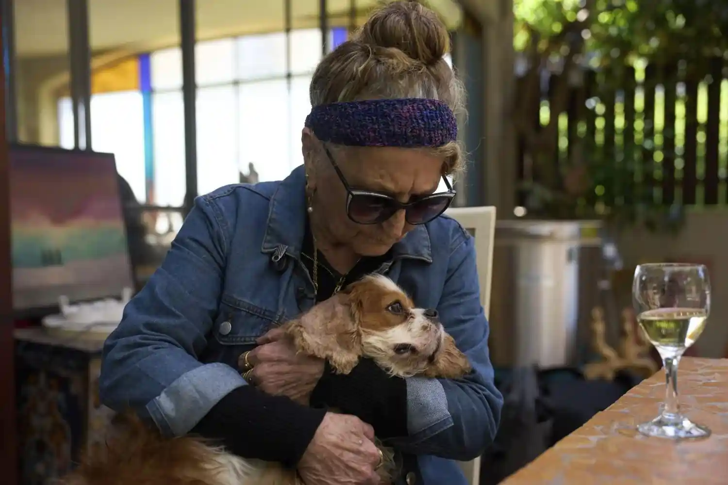 Miraculous Reunion: Israeli Family Reunites with Dog After 18 Months