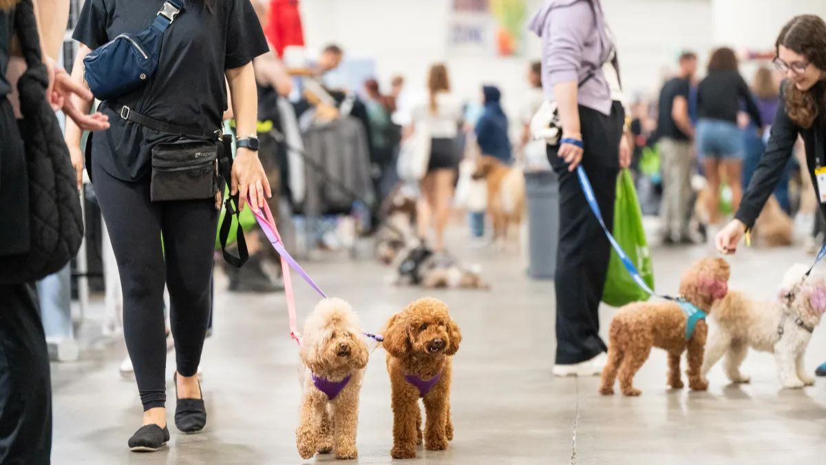 Canadian Pet Expo Spring 2025: Top Highlights Recap