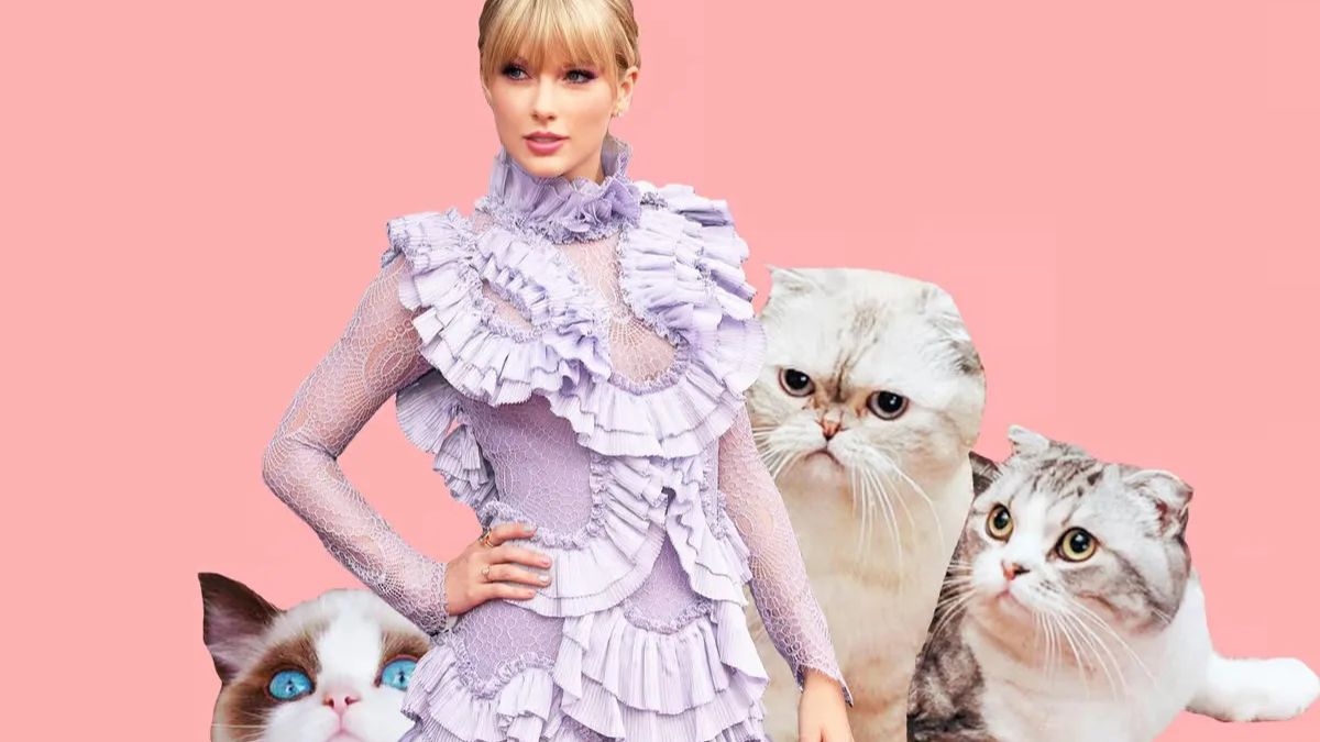 Cats Reign in Britain—With a Little Help from Celebs