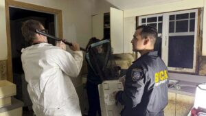 Man Charged After Nearly 100 Cats Found in Cruelty Case