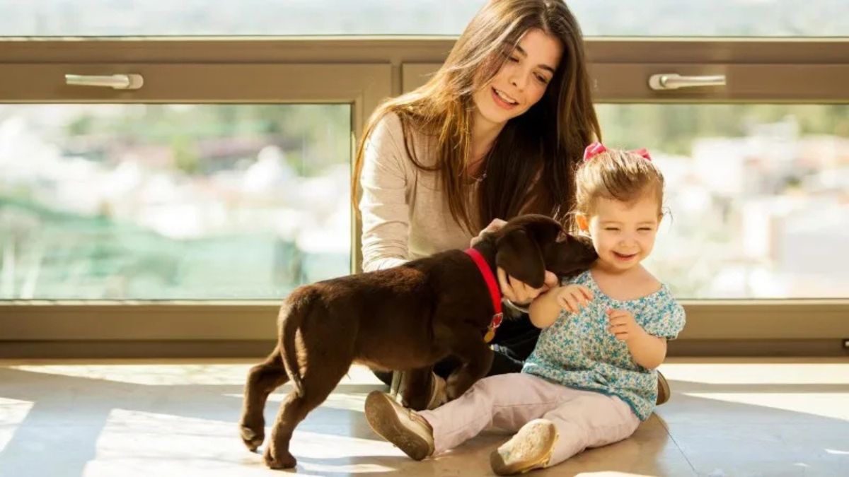 Why Pets Feel Like Family—And Always Will