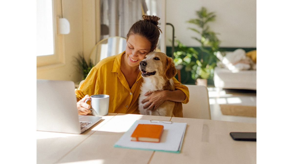 ONEPACK Pet Insurance Launches for Canadian Employers