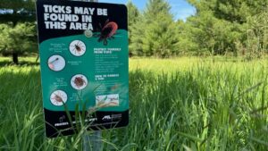 Tick Season Starts Early—Vets Urge Dog Owners to Act
