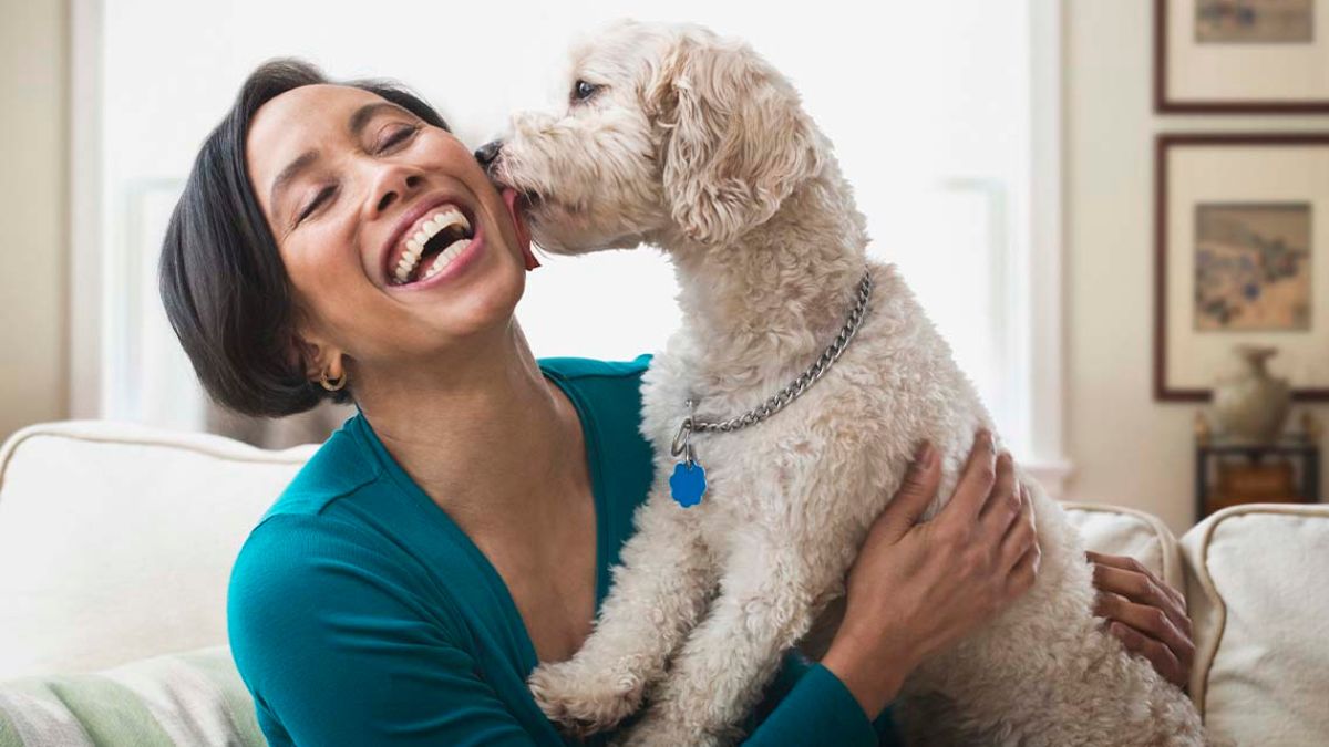 The Unseen Therapists: How Our Pets Boost Our Mental Health