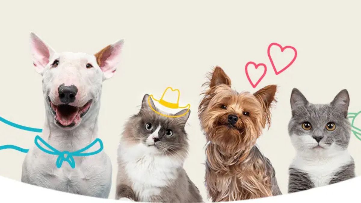 Understanding Pet Personality: What Drives Purrs & Barks