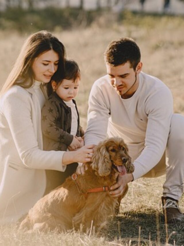 A family playing with their dog in a ground.