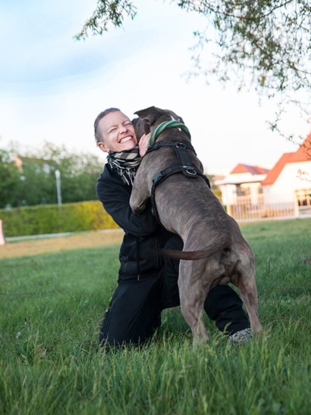 Owner and dog cuddling together.